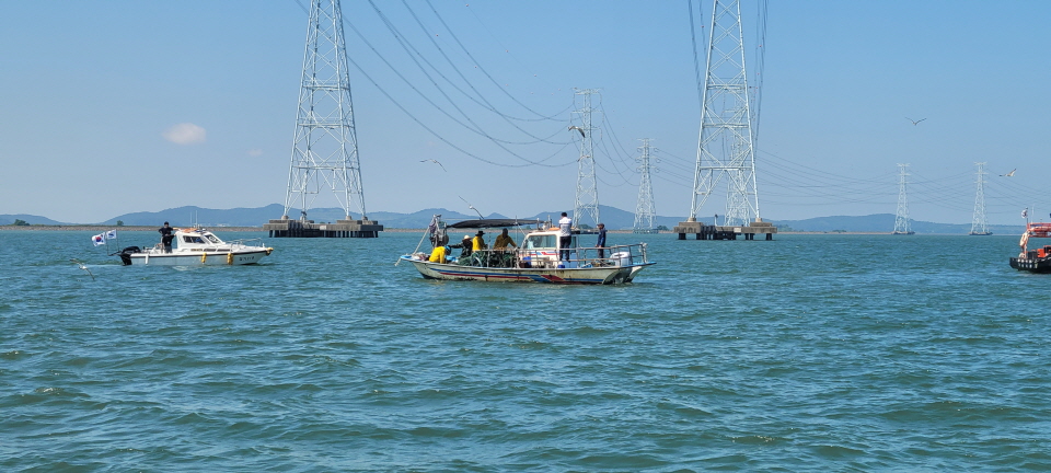 시가 시화호에 불법 설치된 어구 209개를 행정대집행을 통해 철거했다.