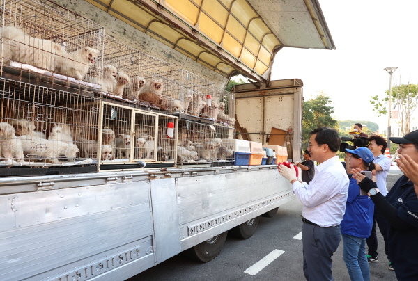  김동연 경기도지사가 화성 강아지번식장에서 학대받는 강아지들을 경기 반려마루로 이동시켜 보호와 치료를 받도록 하고있다.